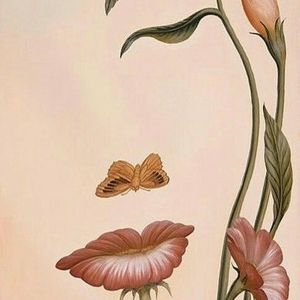 Meet your Posher, Rosaly